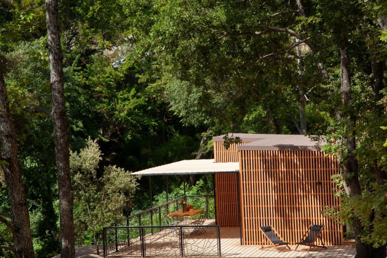 Les Cabanes De La Fontaine Lacoste  Exterior photo
